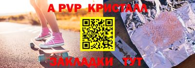гашик Кингисепп