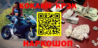 гашик Кингисепп
