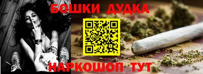 гашик Кингисепп