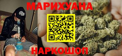 гашик Кингисепп