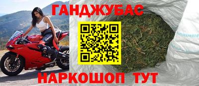 гашик Кингисепп