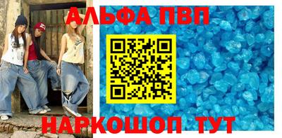 гашик Кингисепп