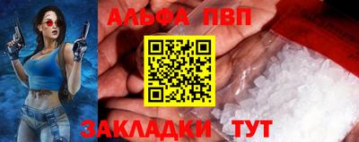 гашик Кингисепп