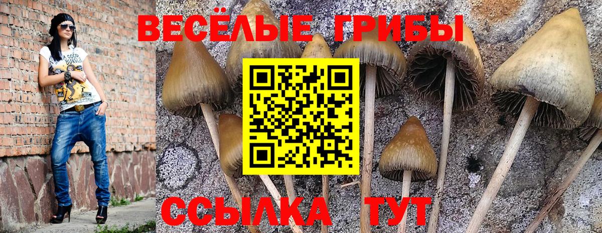 ГАШ Луховицы