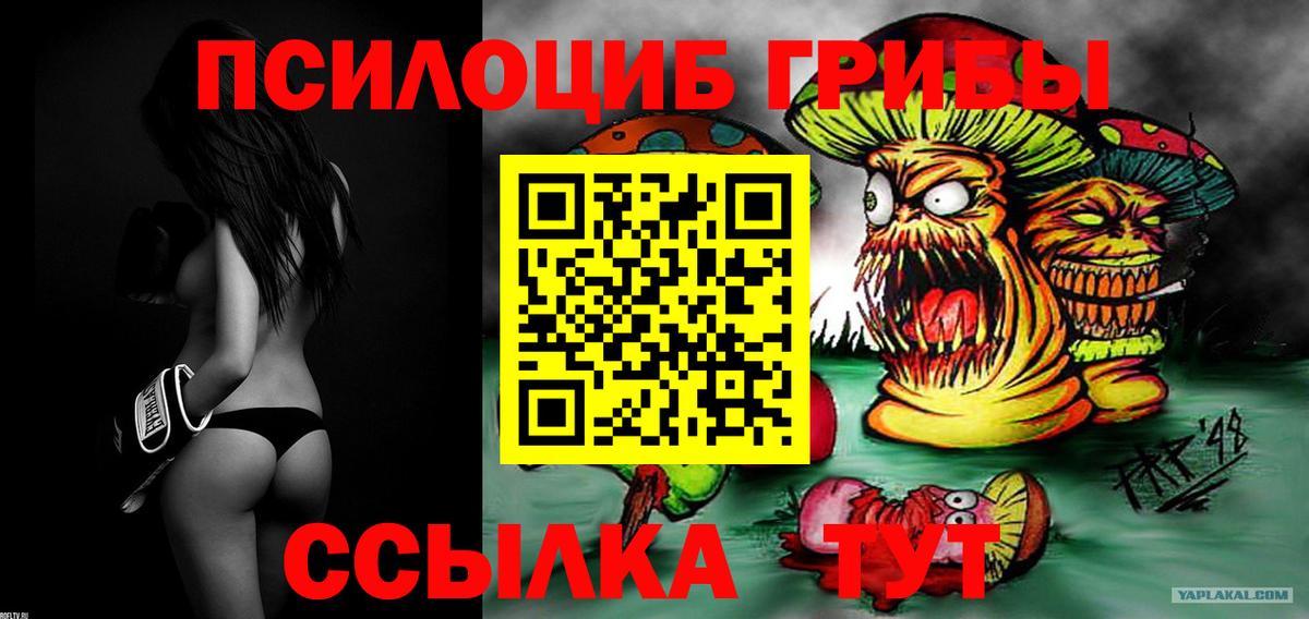 Галлюциногенные грибы Psilocybine cubensis Луховицы
